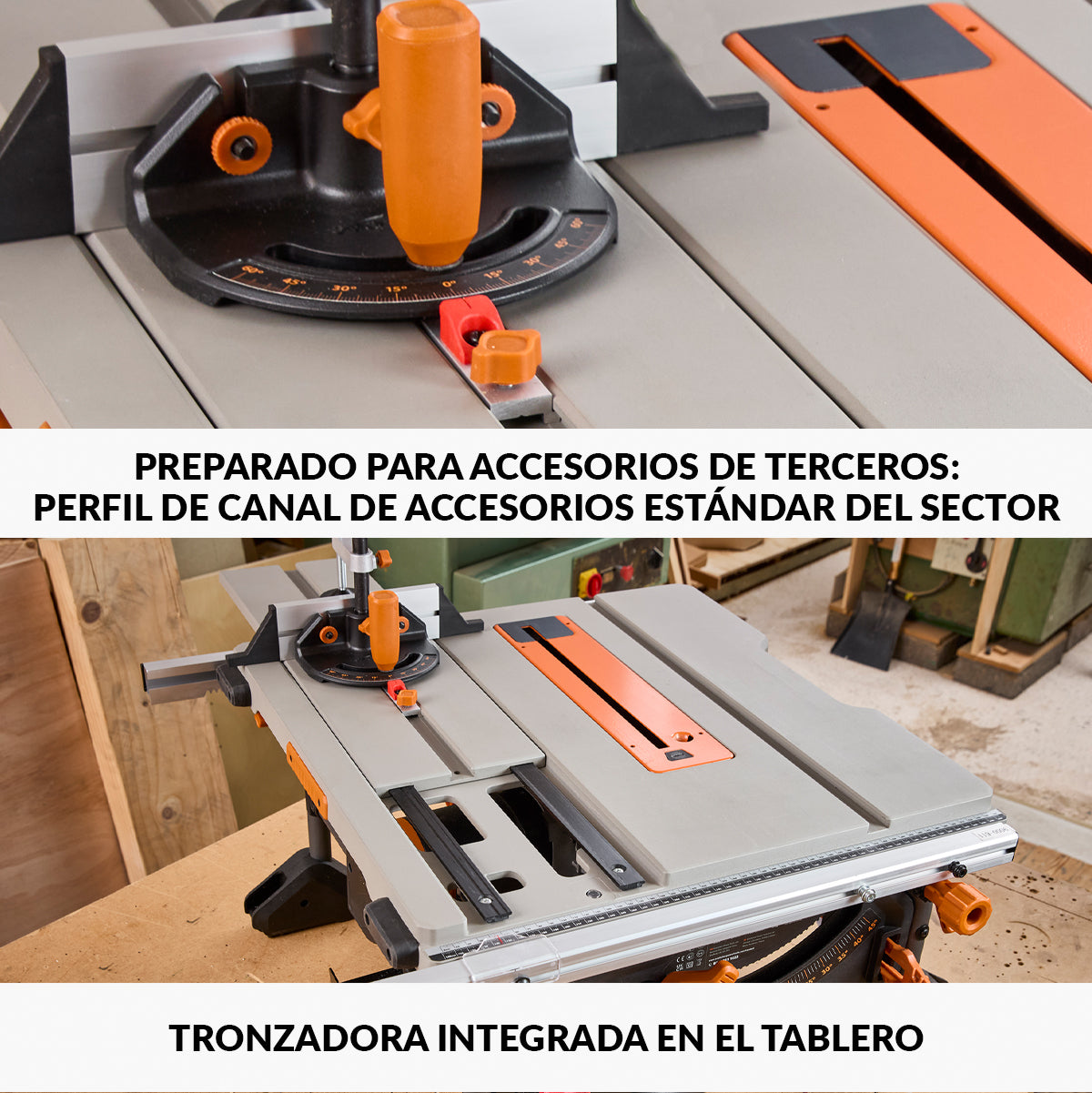 Sierra de Mesa R255TBL Evolution de 255mm, 1650W con Hoja Multi-Material TCT y Soporte Plegable