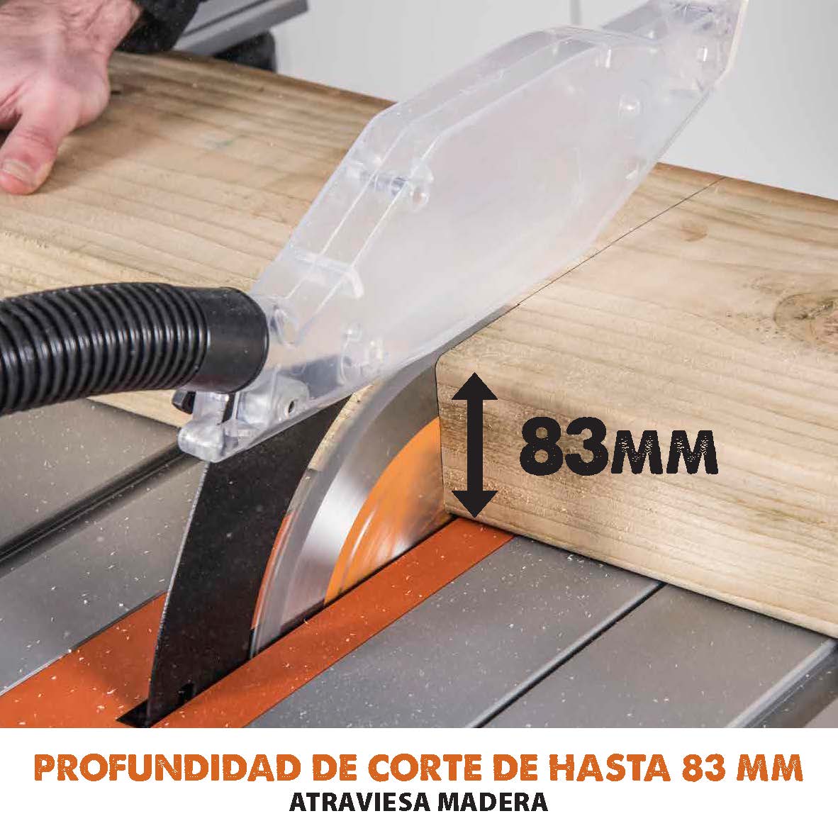 Pack Evolution - Sierra de mesa RAGE5-S  Evolution de 255mm con hoja multi-material TCT + hoja para madera adicional